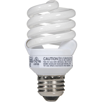 Lampes fluorescentes économiques, Spirale, 13 W, 2700 K, Base E27, 8000 h XC622 | Duraquip Inc