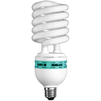 Ampoules pour lampe de travail Hang-A-Light<sup>MD</sup>, 105 W XC755 | Duraquip Inc