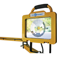 Heavy-Duty Dock Light, 40" Arm, 38 W, LED Lamp, Metal Duraquip Inc