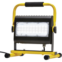 Flood Light, LED, 50 W, 4800 Lumens, Aluminum Housing Duraquip Inc