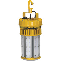 ProLight 360° Industrial Light Kit, LED, 120 W, 15000 Lumens, Plastic Housing Duraquip Inc