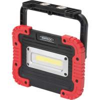 Portable Work Light, LED, 10 W, 1000 Lumens, Plastic Housing Duraquip Inc