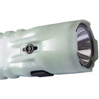 Flashlight, LED, 378 Lumens, AA Batteries Duraquip Inc