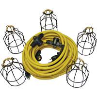 Guirlande électrique à DEL avec connecteur, 5 Lumières, 50' lo, Boîtier en Métal XI324 | Duraquip Inc