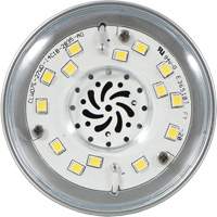 Lampe haute luminosité Ultra LED<sup>MC</sup>, DHI, 27 W, 3600 lumens, base Moyen XI553 | Duraquip Inc