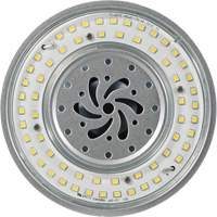 Lampe haute luminosité Ultra LED<sup>MC</sup>, DHI, 80 W, 10800 lumens, base Mogul XI562 | Duraquip Inc