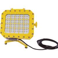 Explosion Proof Floodlight with Floor Stand, LED, 40 W, 5600 Lumens, Aluminum Housing XJ043 | Duraquip Inc