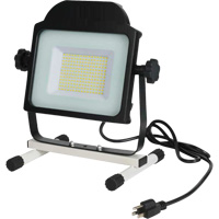 Floodlight, LED, 100 W, 10000 Lumens XJ197 | Duraquip Inc