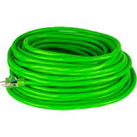 Industrial Extension Cord, All-Weather, SJTW, 10/3 AWG, 15 A, 50' Duraquip Inc